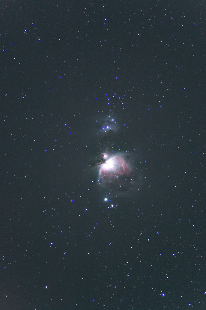 M42
