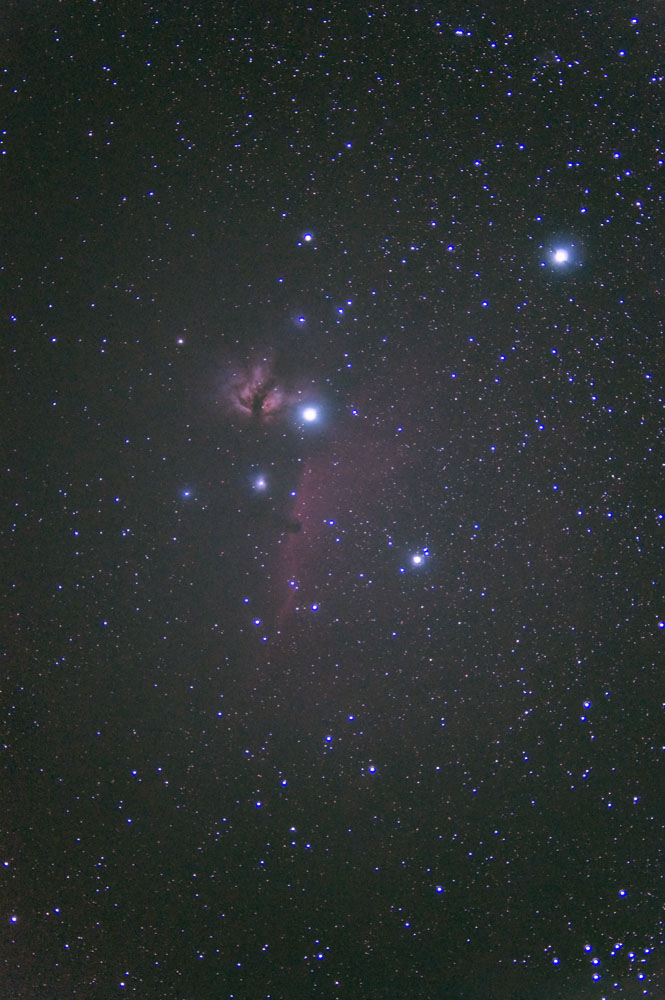 馬頭星雲